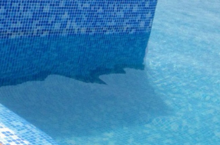 Tela Armada Estampada - Byzance